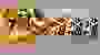 An image depicting alternate Bowser colors in Super Smash Brothers Melee.